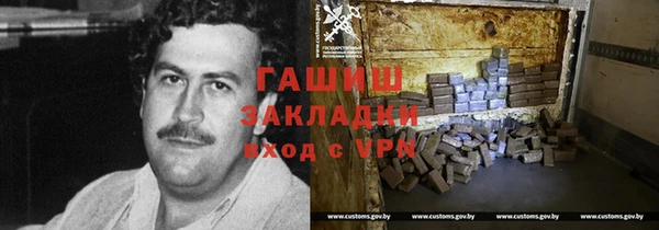 гидра Алексеевка