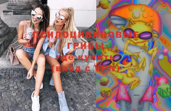 молекула духа Абинск