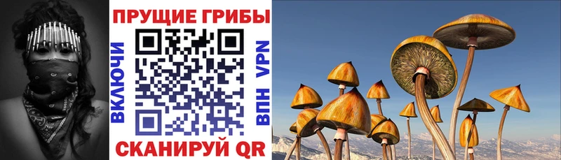 Псилоцибиновые грибы GOLDEN TEACHER  Раменское 